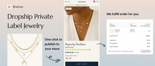 The New Era of Dropshipping: From Generic Hustles to Brand-Driven Businesses
